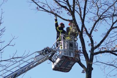 Birkenfeld: Baumfaellarbeiten und Vollsperrung der B294 nach Erdrutsch